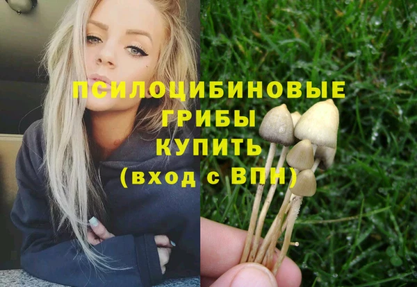 бутират Алексеевка