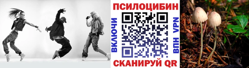 Псилоцибиновые грибы Cubensis  Инсар 
